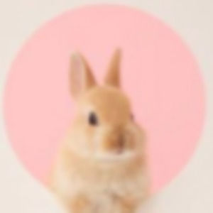 Meet your Posher, Mallory